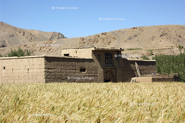 WORLD - Afghanistan – Qala, traditional structure housing families