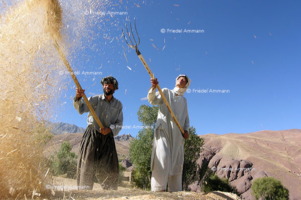WORLD - Afghanistan - Farmers, (Hazara Ethnie)