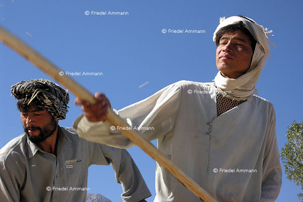 WORLD - Afghanistan - Farmers, (Hazara Ethnie)