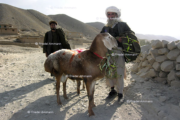 WORLD - Afghanistan - Von Bamiyan nach Kabul - Paschtunen (Ethnie)