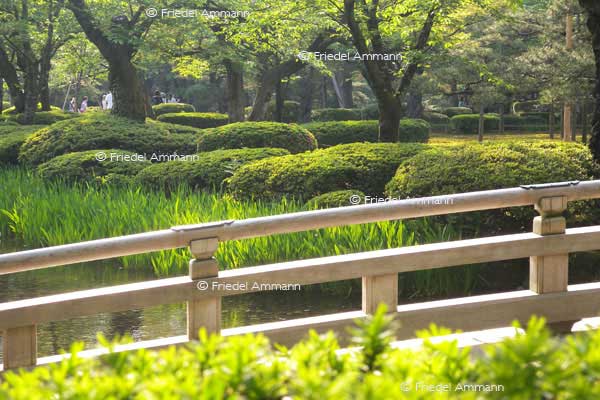 WORLD – Japan – Kenrokuen Garden, Kanazawa