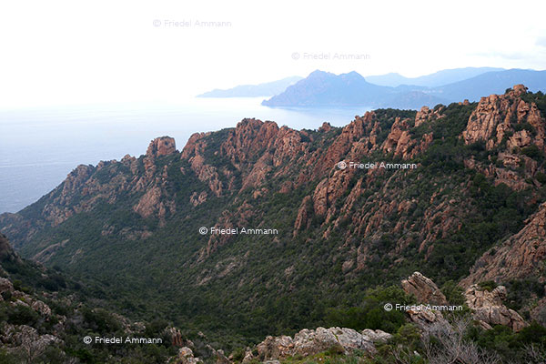 WORLD - France, Korsika, Corsica - Reserve Naturelle de Scandola