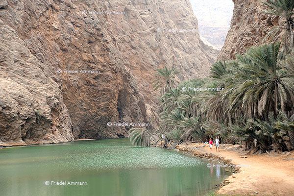 WORLD – Oman - Muscat - Sur - Wadi Shab