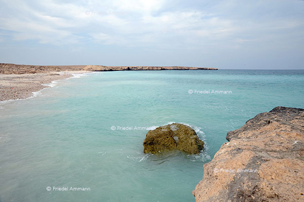 WORLD – Oman - Muscat - Sur Fens - White Beach