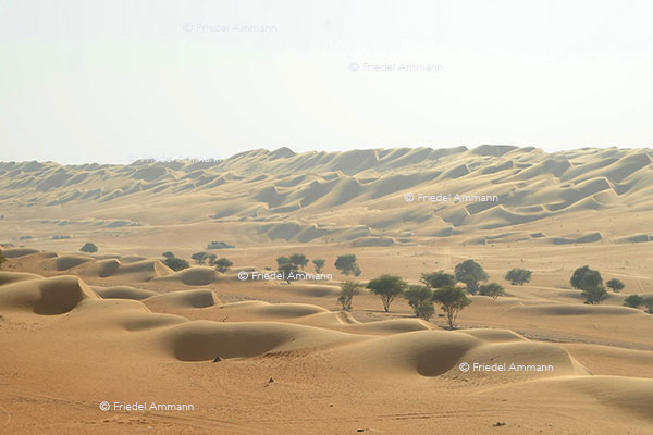 WORLD – Oman - Wahiba Sands 