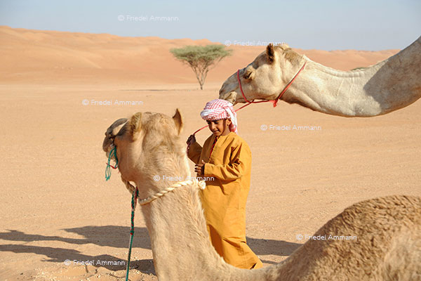 WORLD – Oman - Wahiba Sands
