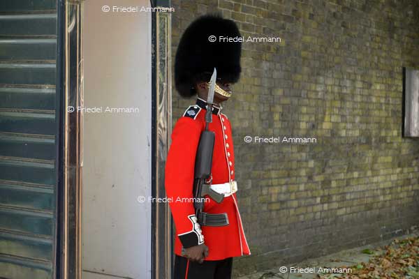 WORLD – London - Queens Guard