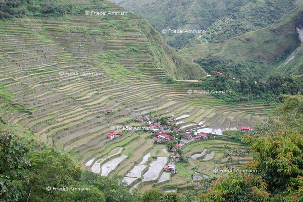 WORLD -  Philippinen - Banaue rice terraces
