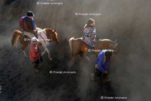 WORLD – Indonesien, Java – horse riding to Mt. Bromo