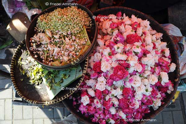 WORLD – Indonesien, Java – offering flowers