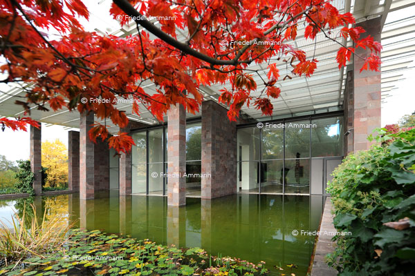 BASEL – Impressionen 1 – Fondation Beyeler, Riehen