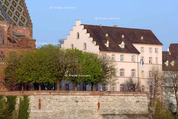 BASEL - Historische Gebäude - Münster, Pfalz, Lesegesellschaft