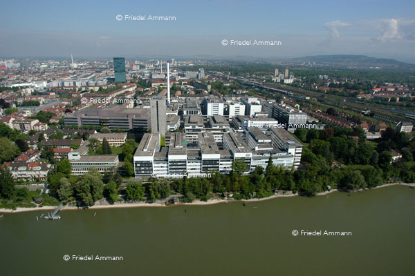 BASEL - Roche Pharma Hauptsitz, Kleinbasel