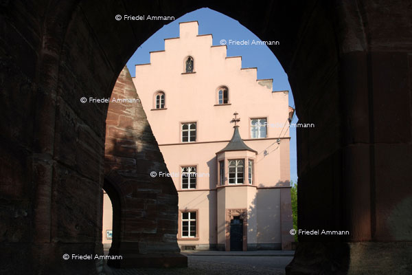 BASEL - Lesegesellschaft, Münster, Pfalz