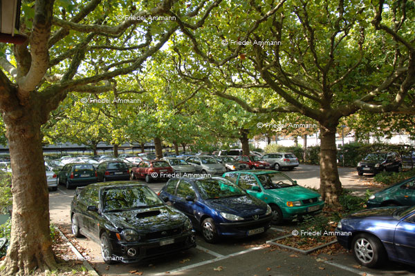 BASEL – Mobilität – Parkplatz Eglisee
