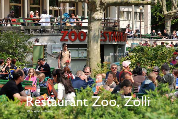 BASEL - Restaurant Zoo, Zolli