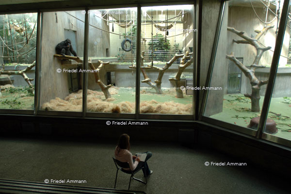 BASEL - Zoologischer Garten, Zolli - Affenhaus
