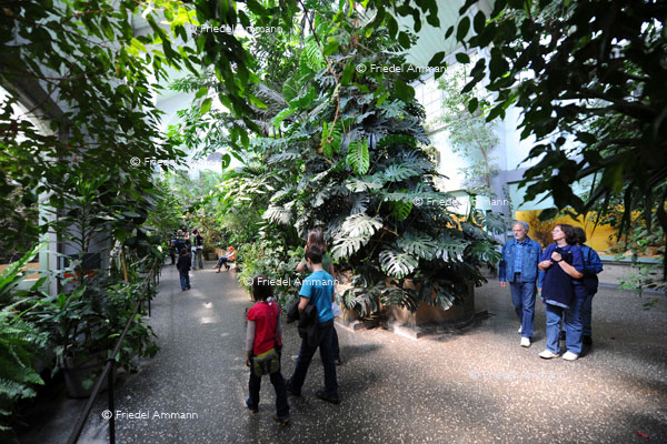 BASEL - Zoologischer Garten, Zolli