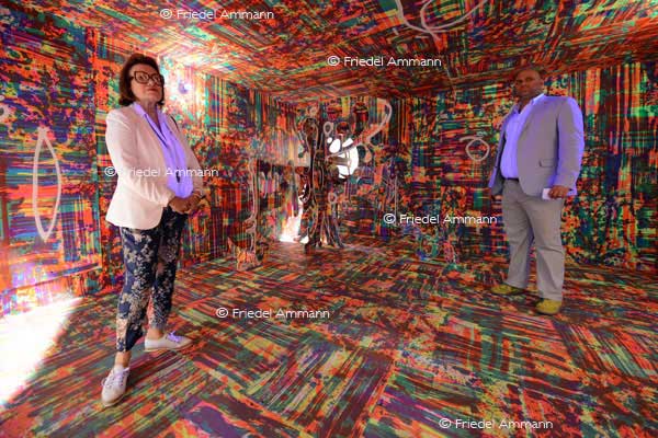 ART Unlimited 44 Basel 2013 - Aaron Curry: Daft Dank Space, 2013 Almine Rech Gallery, Paris 