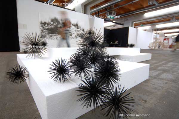 ART Unlimited Basel 38 2007 - Swiss KULTUR - ART Awards