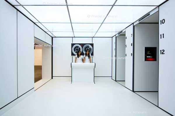 ART Unlimited Basel 38 2007 - A Mental Odyssey, Galerie Maisonneuve, Paris