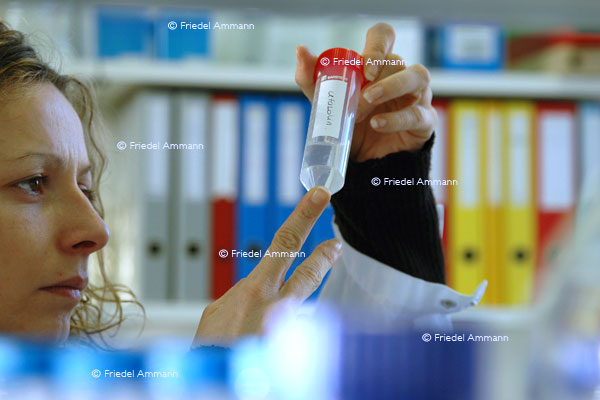 BASILEA Pharmaceutica