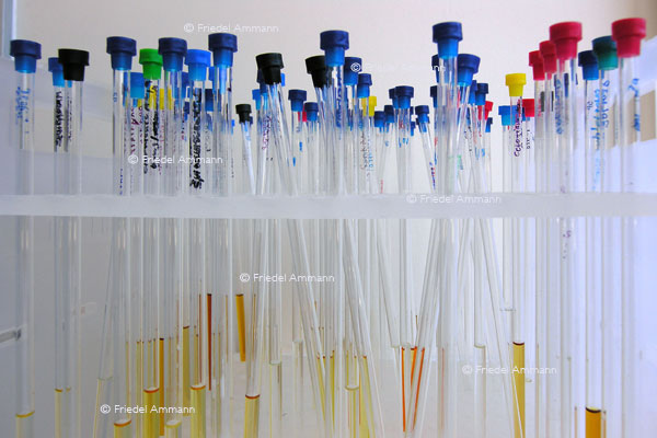 BASILEA Pharmaceutica