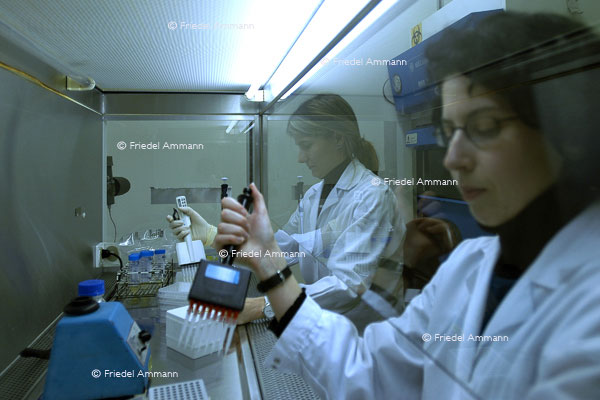 BASILEA Pharmaceutica