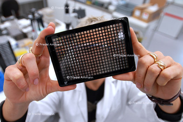 BASILEA Pharmaceutica