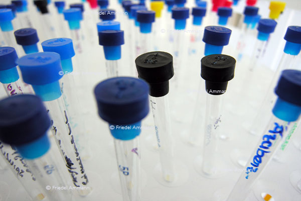 BASILEA Pharmaceutica
