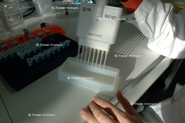 BASILEA Pharmaceutica