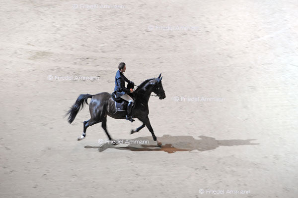 CSI Basel 2012
