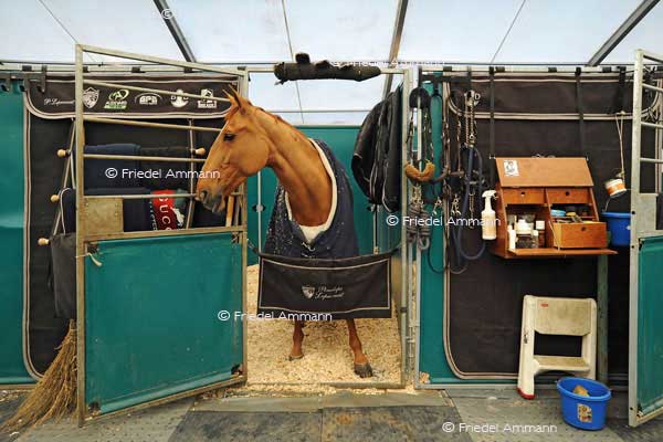 CSI Basel 2012