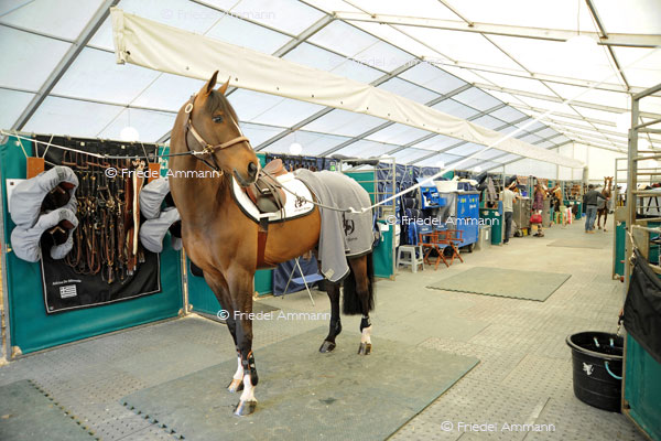 CSI Basel 2012