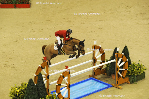 CSI Basel 2012