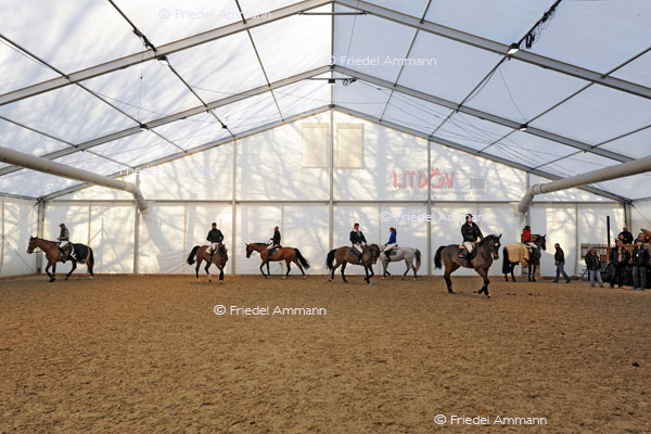 CSI Basel 2012
