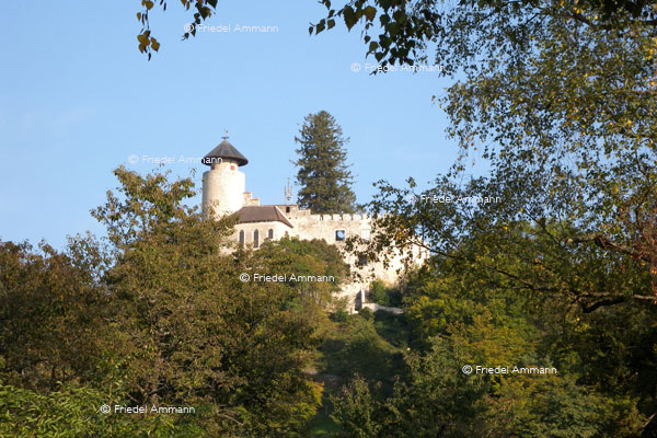 BASEL - Regio - Burg  Arlesheim