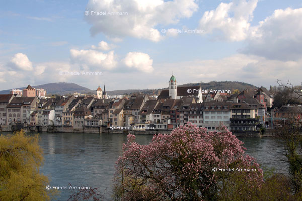 BASEL - Regio - Rheinfelden