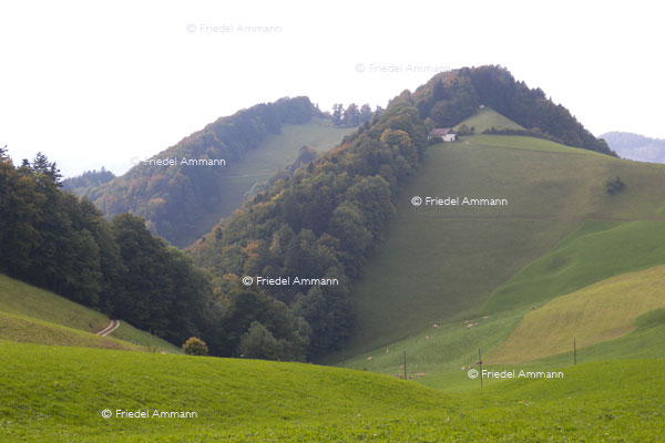 BASEL - Regio - Passwanggebiet