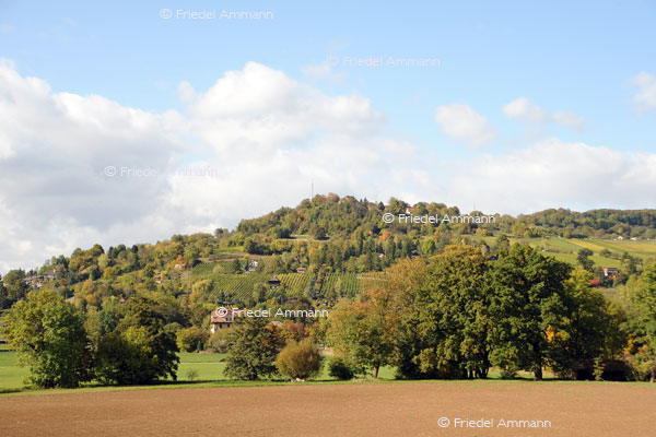 BASEL - Regio – Schlipfer (D) 