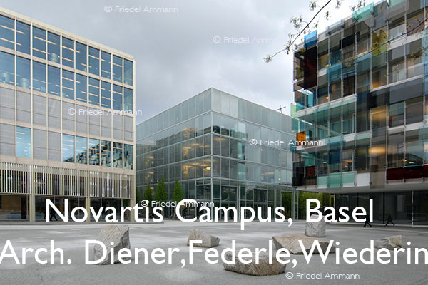 BAUTEN - Architektur 20. Jahrhundert - Novartis Campus, Basel, Schweiz - Architekten Roger Diener, Helmut Federle, Gerold Wiederin