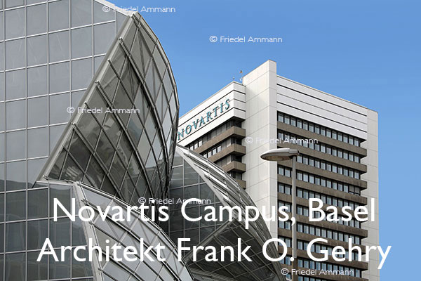 BAUTEN - Architektur 20. Jahrhundert - Novartis Campus, Basel, Schweiz - Architekt Frank O. Gehry