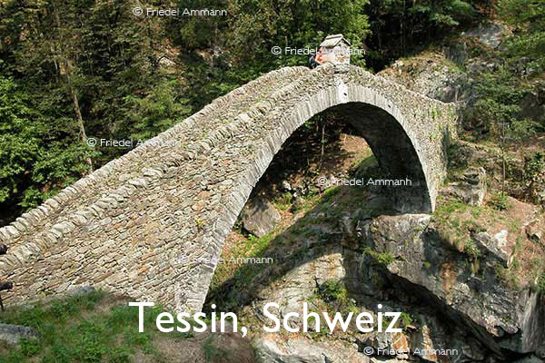 BAUTEN – Brücken / Bridges – Intragna, Rasa - Tessin, Schweiz