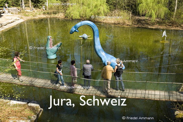 BAUTEN – Brücken / Bridges – Hängebrücke, Réclère, Schweiz