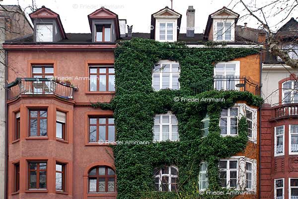 BAUTEN - Gebäudeansichten / Building opinions – Basel, Schweiz