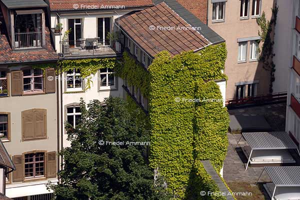 BAUTEN - Gebäudeansichten / Building opinions, Basel, Schweiz