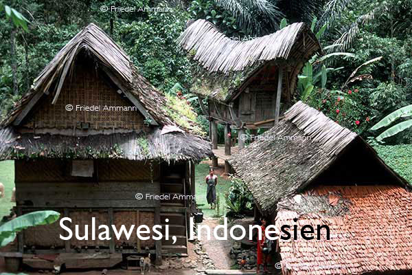 BAUTEN - Historische Bauten- Sulawesi, Indonesien
