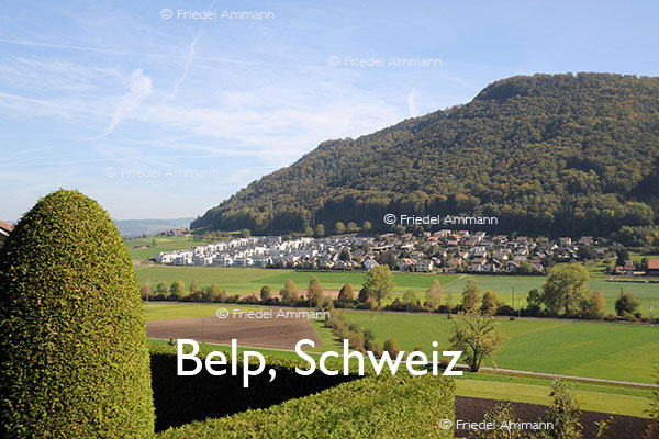 BAUTEN - Immobilien - Belp, Schweiz