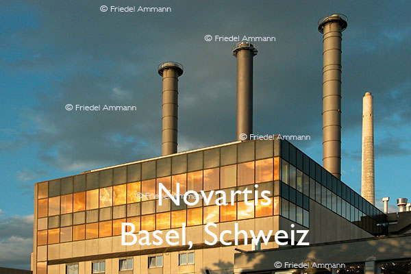 BAUTEN - Industriegebäude - Novartis - Basel, Schweiz