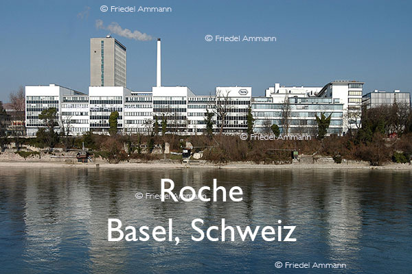 BAUTEN - Industriegebäude - Roche - Basel, Schweiz